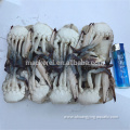 Hot sale Best quality frozen cut swimming crab